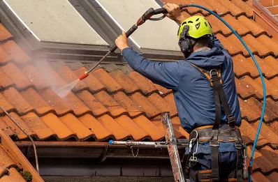 Démoussage et hydrofuge de toiture à Précieux